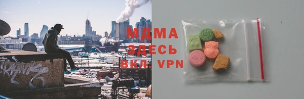 хмурый Аркадак