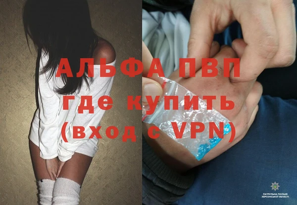 хмурый Аркадак
