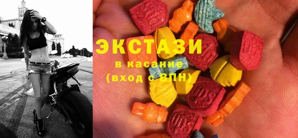 хмурый Аркадак
