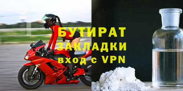 хмурый Аркадак